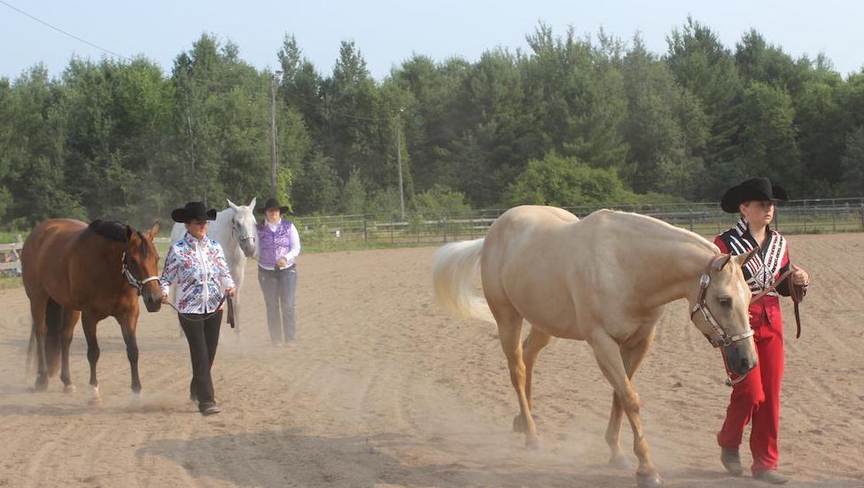 Saddle Club show